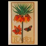 Daniel Rabel