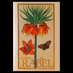 Daniel Rabel
