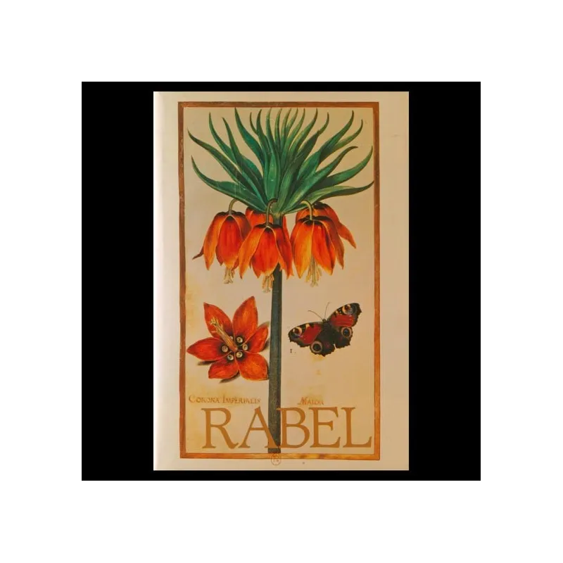 Daniel Rabel