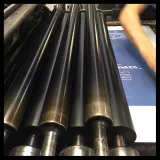 Lorenzo Eroticolor – BMW - "Speed - More Speed" - Lithographie - Affiche