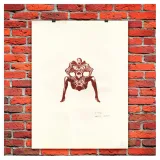 Marc Riou, Draeger, Paris, lithographie, estampes, anthese
