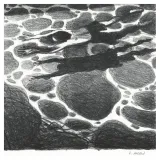 Lithographie, La Piscine, Grégory Mardon