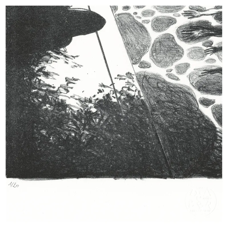 Lithographie, La Piscine, Grégory Mardon