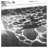 Lithographie, La Piscine, Grégory Mardon