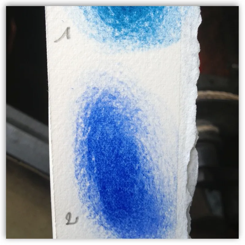Lithographie Fleur Bleue by Vince*