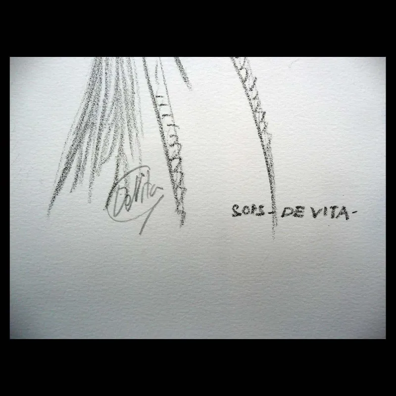 Giulio de Vita, Les Mondes de Thorgal