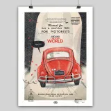 Lorenzo Eroticolor, Beetle, Around the Real World, 2024