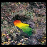 Passage, Andy Goldsworthy 