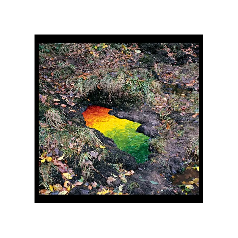 Passage, Andy Goldsworthy 