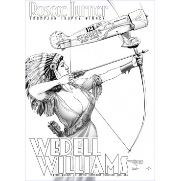 Wedell Williams, couleur 1, noir