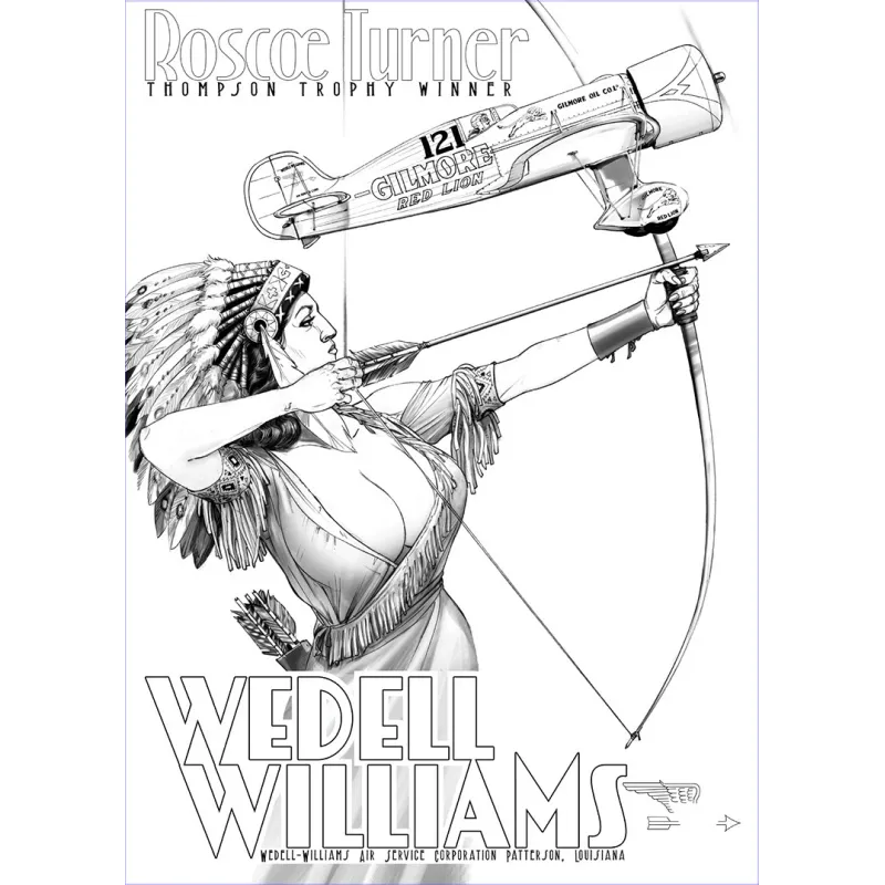 Wedell Williams, couleur 1, noir