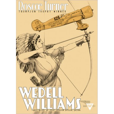 Wedell Williams, couleur 3, avion