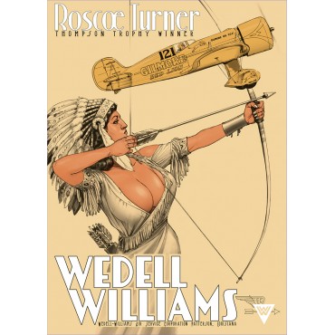 Wedell Williams, couleur 4, peau