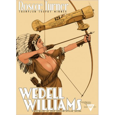 Wedell Williams, couleur 5, brun