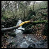 Passage, Andy Goldsworthy 