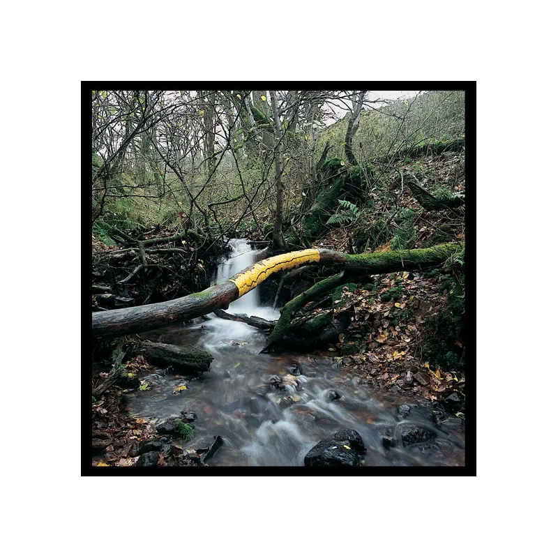 Passage, Andy Goldsworthy 