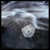 Murs & Enclos, Andy Goldsworthy