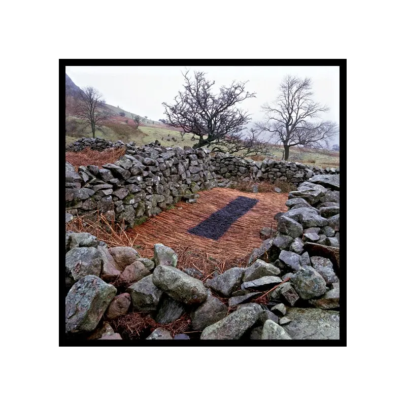 Murs & Enclos, Andy Goldsworthy