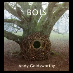 Bois