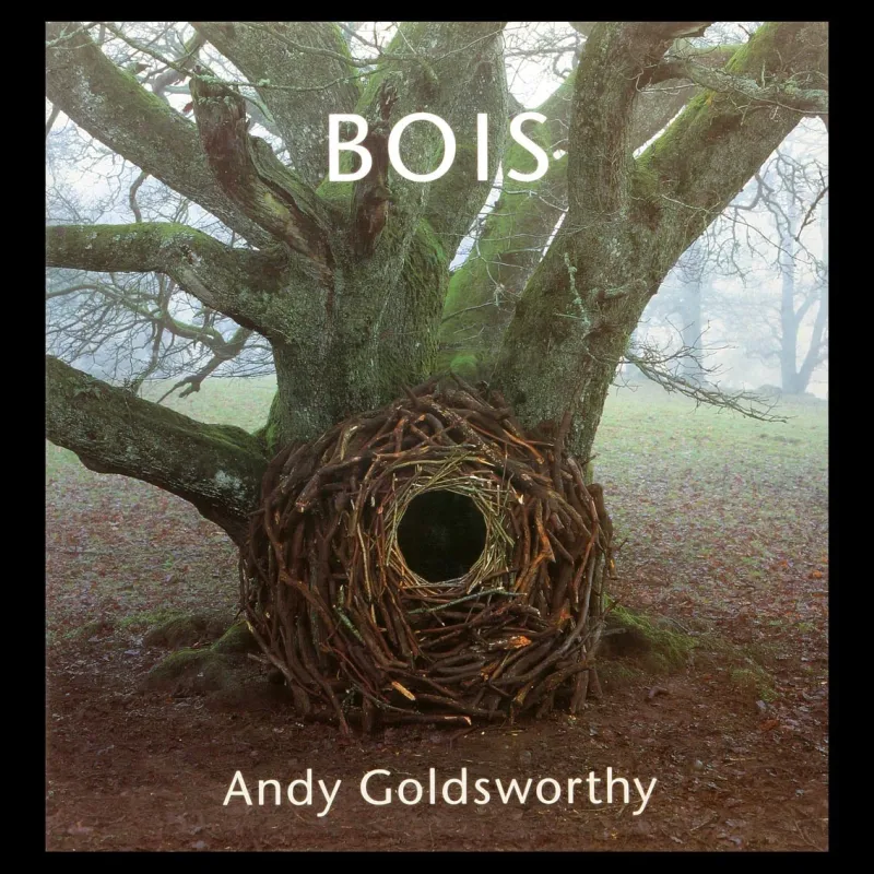 Bois
